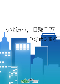 专业追星，日赚千万